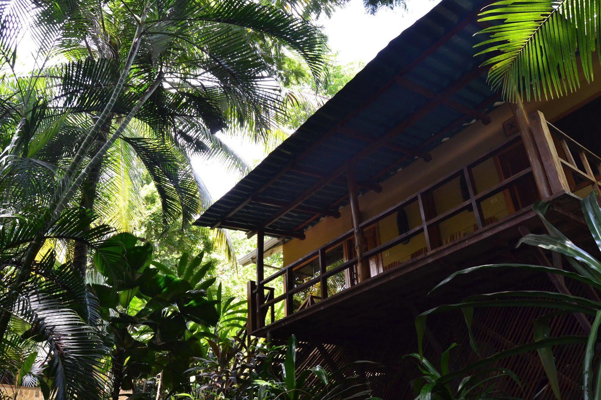 Cielo Del Mar Hotel Nicoya Eksteriør billede