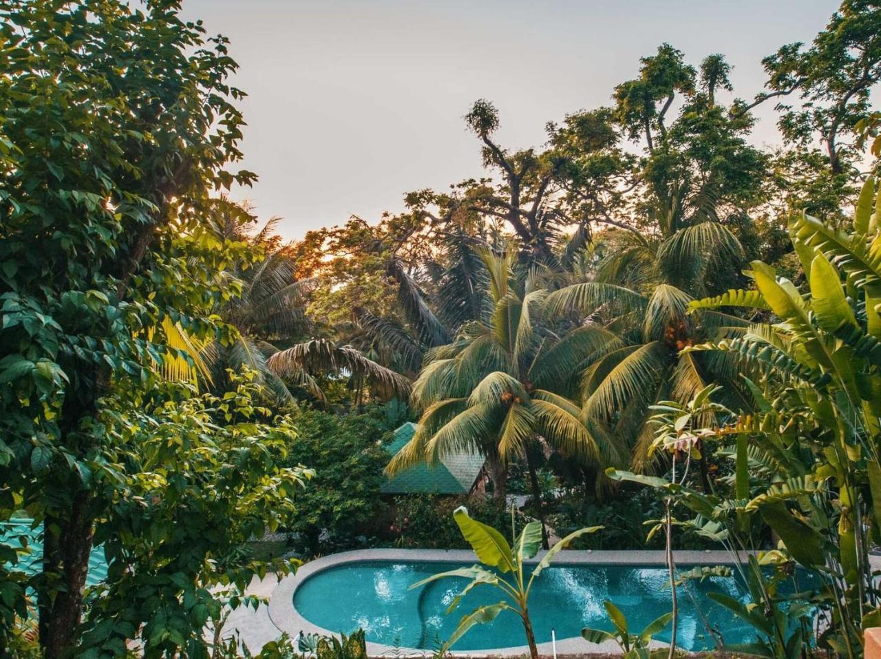 Cielo Del Mar Hotel Nicoya Eksteriør billede